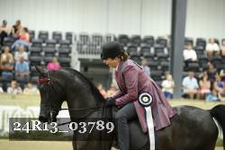 24R13_03789 thumbnail