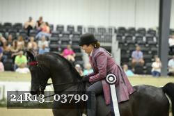 24R13_03790 thumbnail