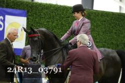 24R13_03791 thumbnail