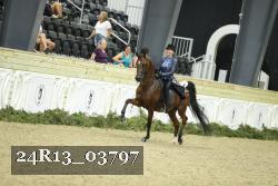24R13_03797 thumbnail