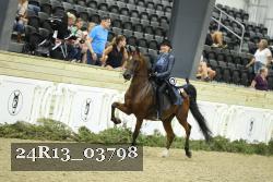 24R13_03798 thumbnail
