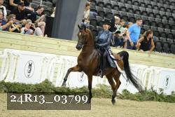 24R13_03799 thumbnail