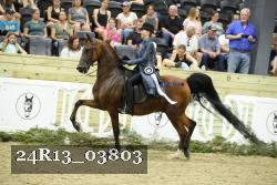 24R13_03803 thumbnail