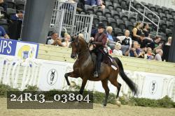 24R13_03804 thumbnail