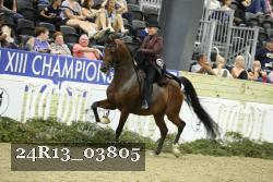 24R13_03805 thumbnail