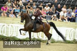 24R13_03807 thumbnail