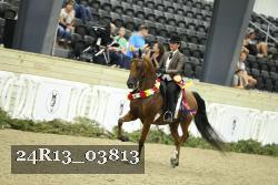 24R13_03813 thumbnail