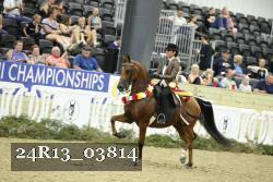 24R13_03814 thumbnail
