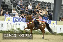 24R13_03815 thumbnail