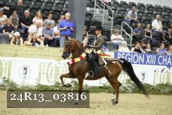 24R13_03816 thumbnail