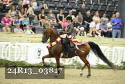 24R13_03817 thumbnail
