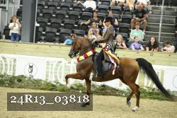 24R13_03818 thumbnail