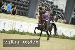 24R13_03826 thumbnail