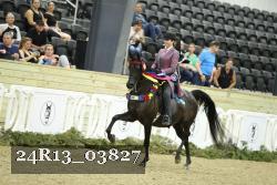 24R13_03827 thumbnail