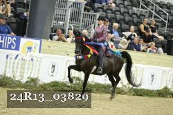 24R13_03829 thumbnail