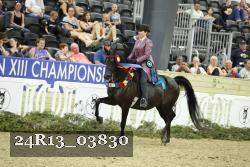24R13_03830 thumbnail