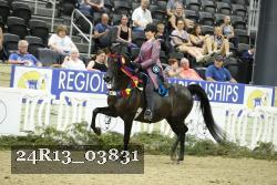 24R13_03831 thumbnail