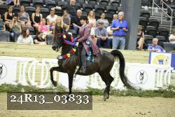 24R13_03833 thumbnail