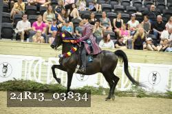 24R13_03834 thumbnail