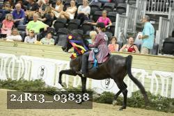 24R13_03838 thumbnail