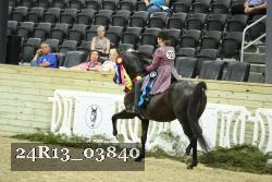 24R13_03840 thumbnail