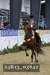 24R13_03842 thumbnail