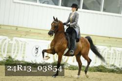 24R13_03854 thumbnail