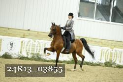 24R13_03855 thumbnail