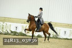 24R13_03856 thumbnail