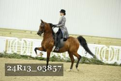 24R13_03857 thumbnail