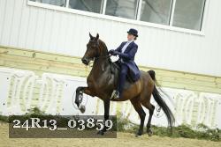 24R13_03859 thumbnail