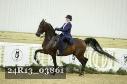 24R13_03861 thumbnail