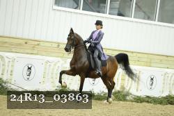 24R13_03863 thumbnail