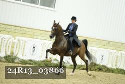 24R13_03866 thumbnail