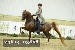 24R13_03868 thumbnail