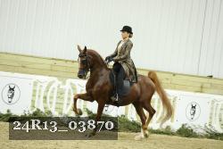 24R13_03870 thumbnail