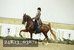 24R13_03871 thumbnail