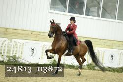 24R13_03872 thumbnail