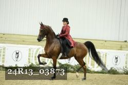 24R13_03873 thumbnail