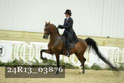 24R13_03876 thumbnail