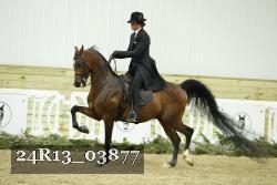 24R13_03877 thumbnail