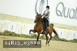 24R13_03880 thumbnail