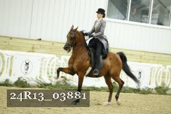 24R13_03881 thumbnail