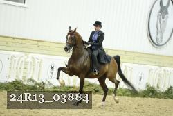24R13_03884 thumbnail