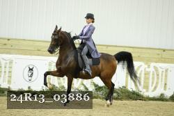 24R13_03886 thumbnail