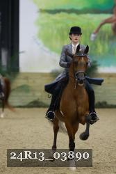 24R13_03890 thumbnail