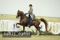 24R13_03891 thumbnail