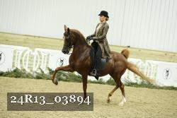 24R13_03894 thumbnail
