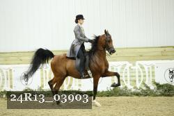 24R13_03903 thumbnail