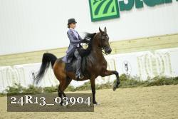 24R13_03904 thumbnail